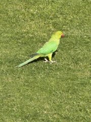 20251230 091611 IMG 2970