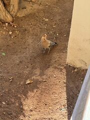 20251230 103212 IMG 2980