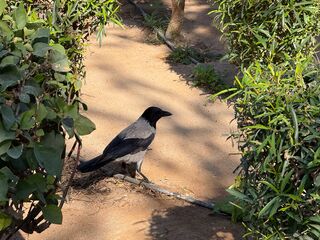 20251230 115100 IMG 2995