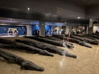 20251224 174205 IMG 2501