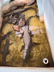 20251225 100855 IMG 2555