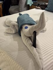 20251225 130153 IMG 2615