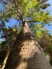 20251226 084852 IMG 8917