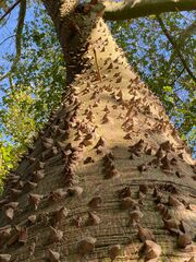 20251226 084900 IMG 8918