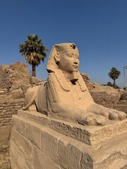 20251229 102428 IMG 2921