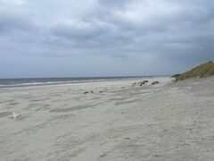 IMG 9561