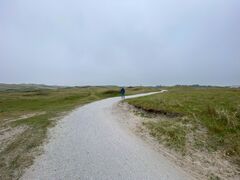 IMG 9783