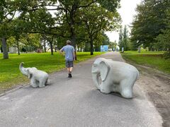 IMG 1417