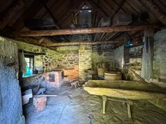 IMG 4463