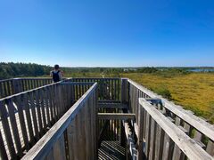 IMG 1585