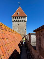 IMG 4624