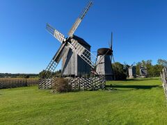 IMG 4650