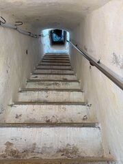 IMG 4730