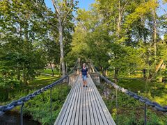 IMG 4896