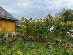 IMG 5561