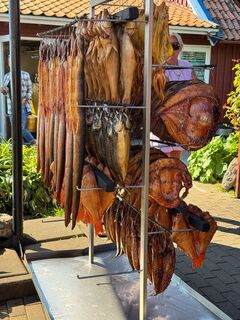 IMG 5757