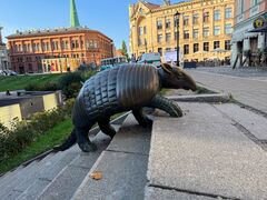 IMG 4091