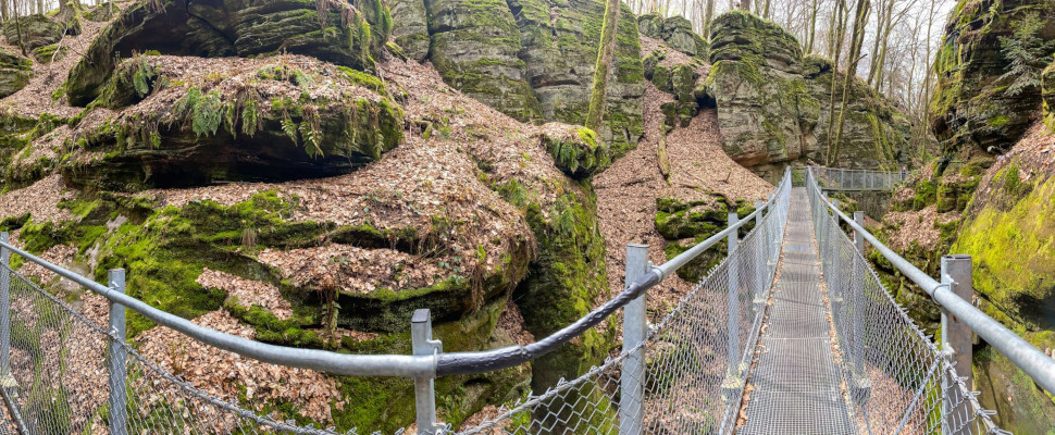 Wanderung nahe dem Camping Martbusch in Berdorf