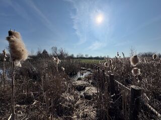 20260304 125028 IMG 3475