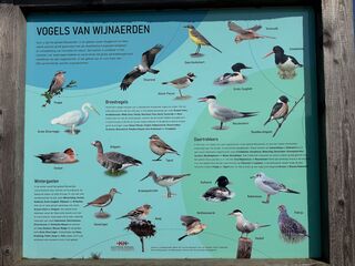 20260304 134326 IMG 3479