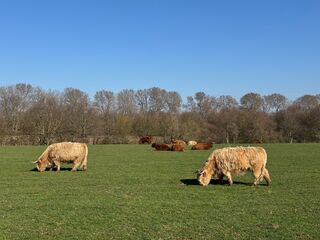 20260305 134606 IMG 3490