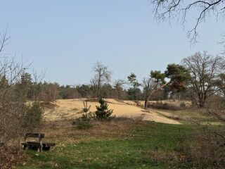 20260307 113440 IMG 3516