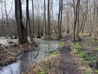 20260307 142253 IMG 9889