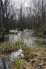 20260307 142337 IMG 9890