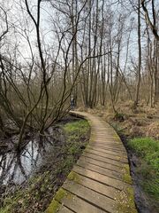 20260307 142418 IMG 9891