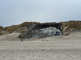 20260130 143454 IMG 3162