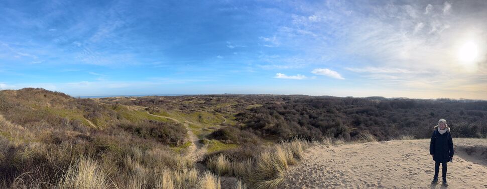 20260131 110945 IMG 3186