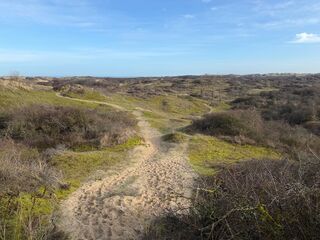 20260131 111153 IMG 9484