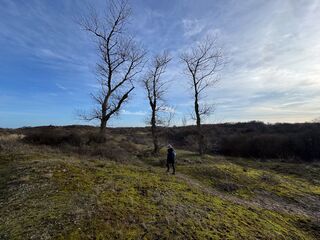 20260131 111453 IMG 3187