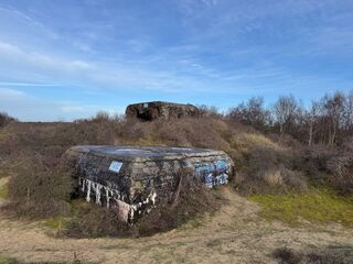 20260131 112239 IMG 3191