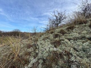 20260131 113038 IMG 3192