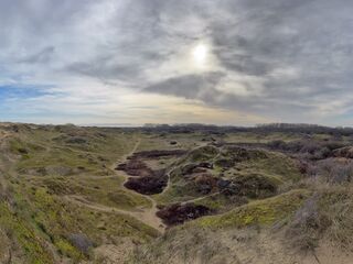 20260131 120445 IMG 3200