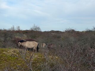 20260131 124929 IMG 9511