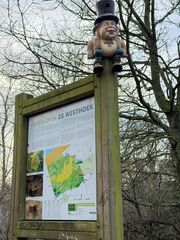 20260131 132815 IMG 9517