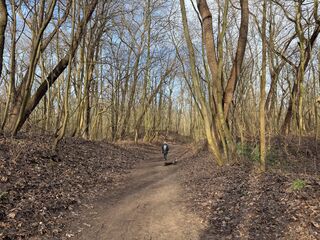 20260131 134555 IMG 3214