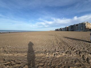 20260131 150251 IMG 9521