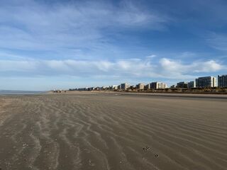 20260131 152427 IMG 9524