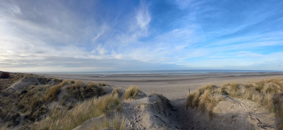 20260131 155635 IMG 3227