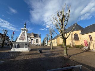 20260204 111605 IMG 9673