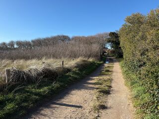 20260204 121123 IMG 9690