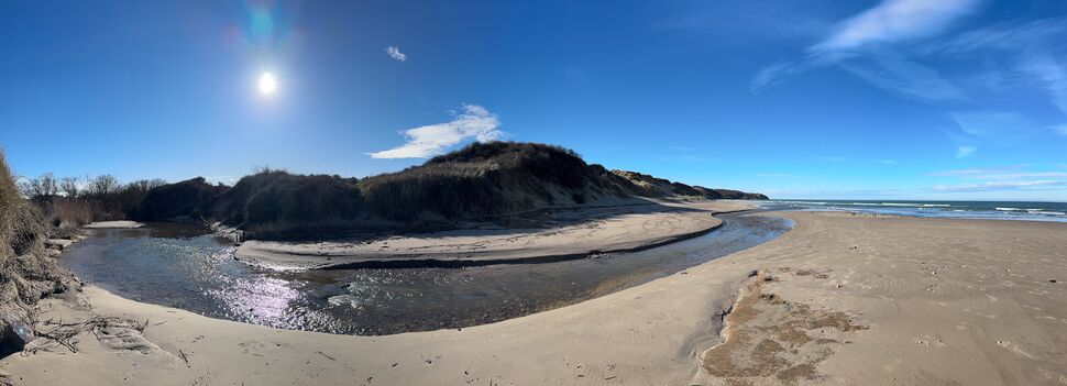 20260204 123019 IMG 3374