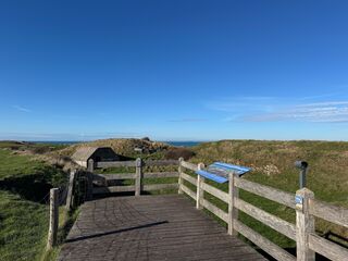 20260204 131941 IMG 3381