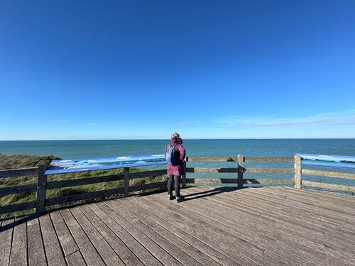 20260204 133007 IMG 3383