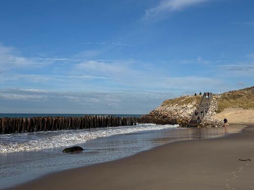 20260204 153119 IMG 3411