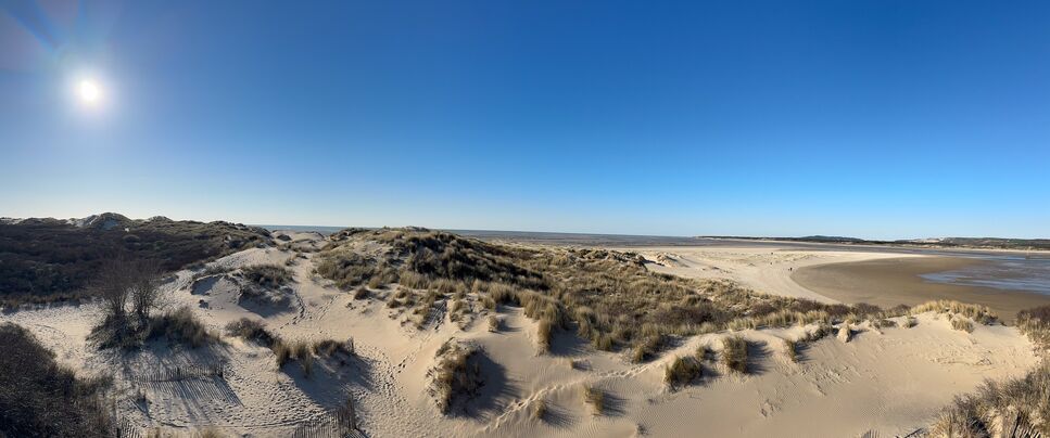 20260318 163915 IMG 3656