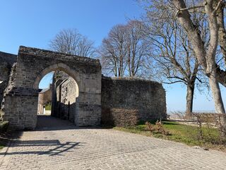 20260319 142655 IMG 0033